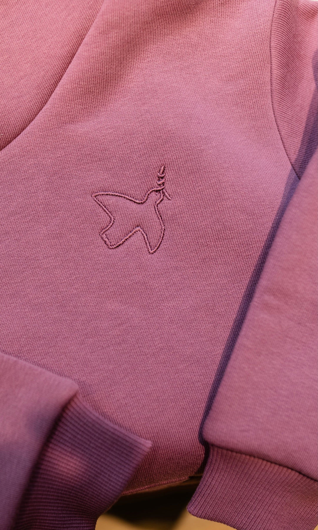 Kinder Hoody x Gretas Schwester (2-12 Jahre) - abricot coco